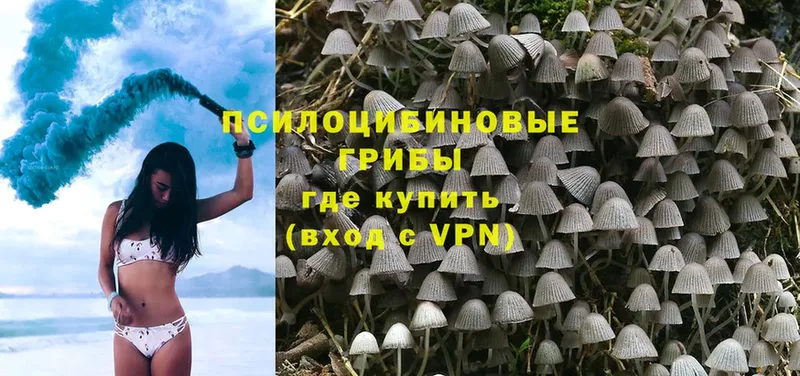 Галлюциногенные грибы Psilocybe  KRAKEN как войти  Белорецк 